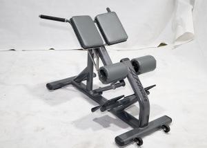 China Customizable Full Gym Back Extension Exercise Equipment wholesale