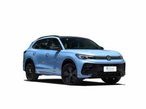 China Gasoline VW Tiguan L 100km Volkswagen Tiguan 4 Cylinder Medium SUV Automobile wholesale