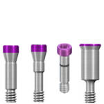 Dental Implant Titanium Screw Trox Compatible with ITI Straumann Bone Level®