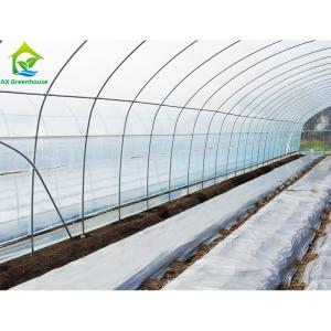 China Customized Commercial Poly Tunnel Greenhouse 10*30 Square Meters For Cucumber wholesale