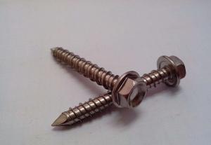 China Carbon Steel Fixings And Fasteners / Stainless Steel Self Drilling Screw wholesale