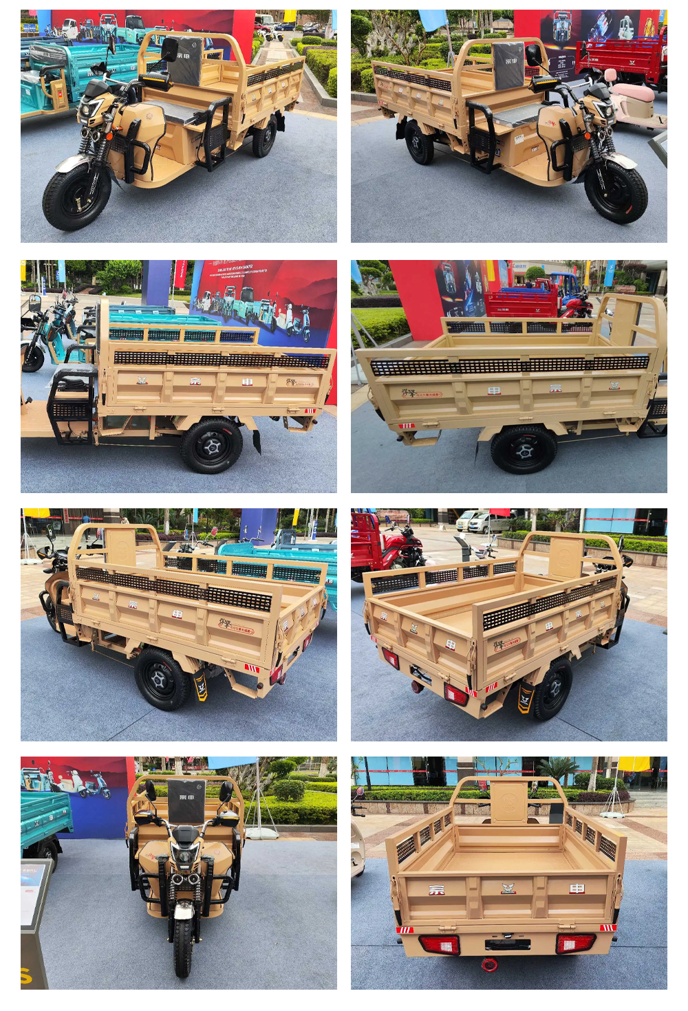 3 Wheel Electric Etrike with Front Drum Rear Drum Brakes and 70-90km Driving Mileage