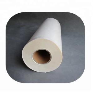 China EAA PO Hot Melt Polyester Film Roll For Textile Fabric Embroidery Patch wholesale