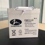 FBR 12V55AH 16.5A 550A Gel Lead Acid Battery For Wind System