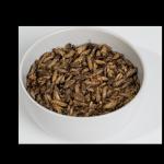 High Protein Dried Crickets Crispy Taste 12 Months Shelf Life