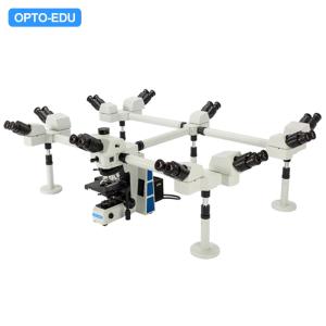 China PL10x Opto-Edu A17.0950-10 Multi View Microscope CE wholesale