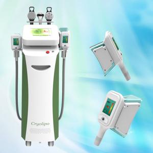 China Fat Freeze Cryolipolysis Equipment/Cryolipolysis Lipolaser Machine wholesale