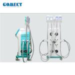 Fat Freezing Cryolipolysis Slimming Machine 1000W Cellulite Reduction Equipment