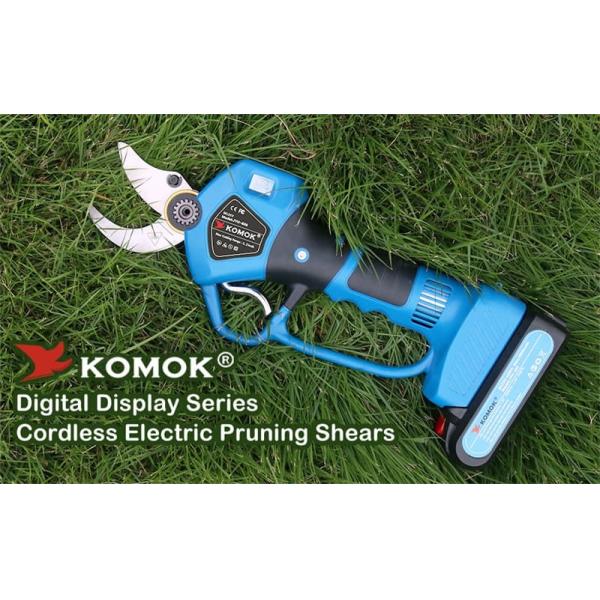 electric pruners cordless