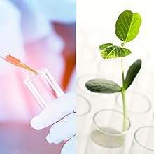 labware test tubes
