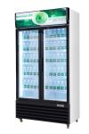 Static Cooling Soft Drink Storage Commercial Upright Freezer With Panasonic