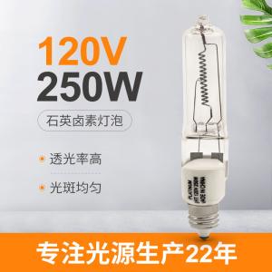 China Electric Bulb Light Halogen Quartz 250w Halogen Lamp Single Ended wholesale