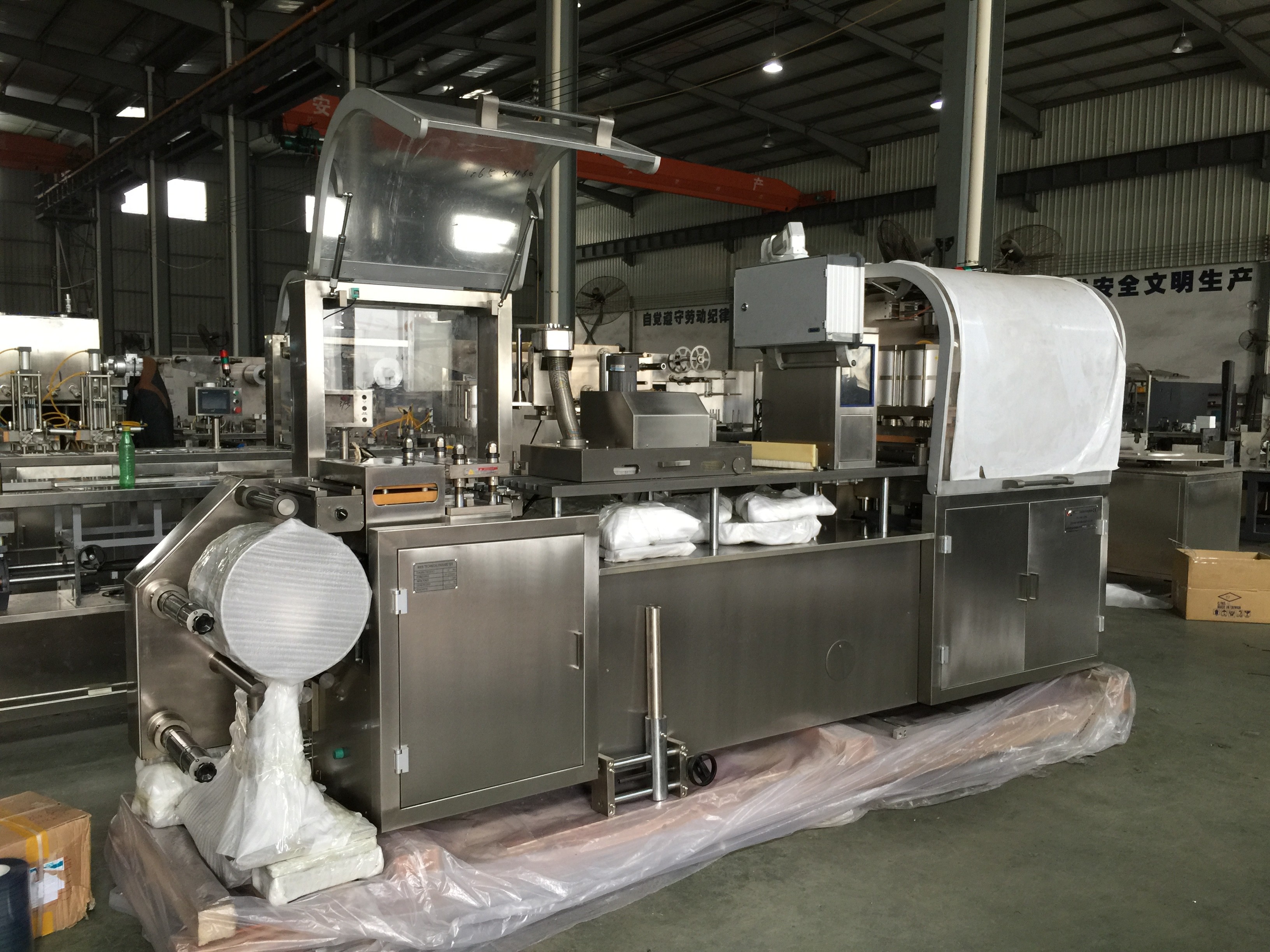 Alu PVC And Alu Alu Pharmaceutical Blister Packaging Machines Automatically