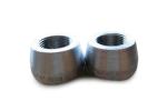 Erw Pipe Threaded Olet Carbon Steel Pipe Fittings