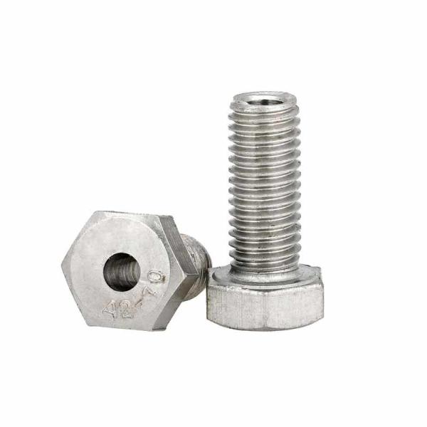Quality Marine Grade Stainless Steel Screws For Demanding Environments for sale