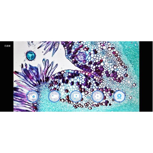 11.6" 8.0M Digital Microscope Camera with 4K 3840x2160 Resolution