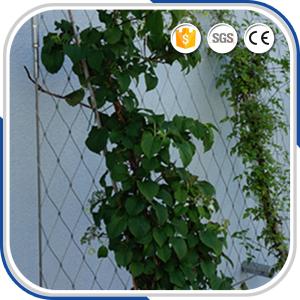 China Flexible stainless steel wire rope plant climbing mesh wholesale
