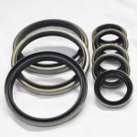 Black DKB DKBI DKBZ DWIR GA Wiper Dust Seals Oil Seal for High Temperature