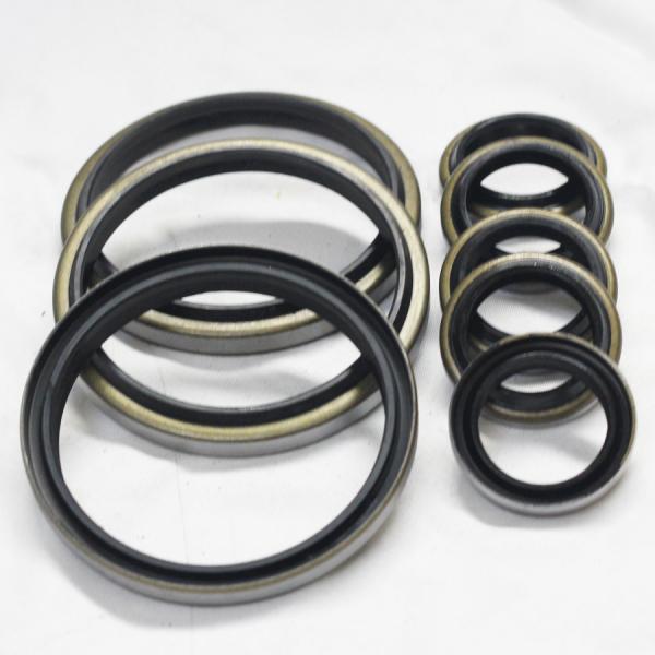 Black DKB DKBI DKBZ DWIR GA Wiper Dust Seals Oil Seal for High Temperature