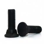 M12 Square Neck Carriage Bolt