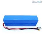 Rechargeable Lithium Ion Electric Bicycle Lithium Battery Phylion Akku Xh25910j