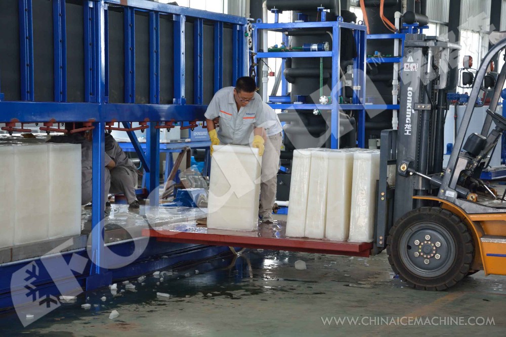 Fast Cooling Direct System Block Ice Machine 10 Ton Daily Capacity with Bitzer Compressor