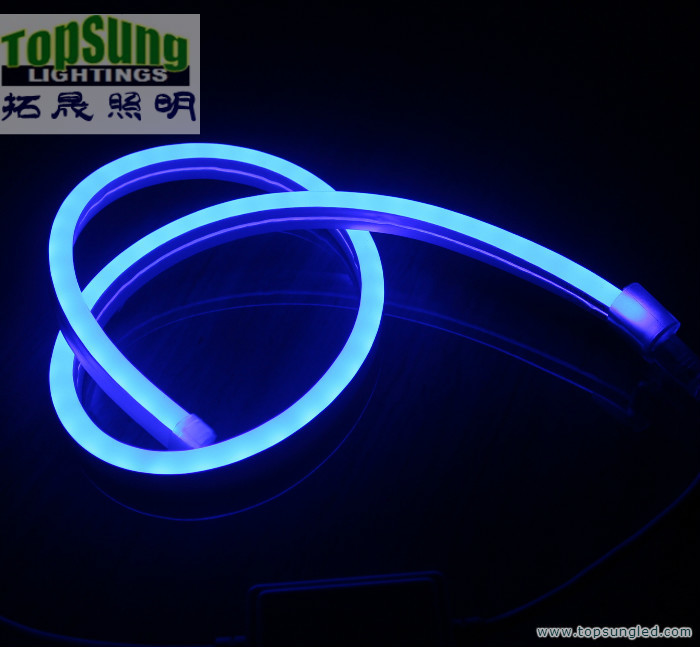 mini size RGB led neon flex 10*18mm full color changing neon light 110V SMD5050