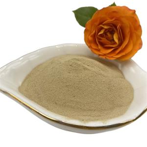 China 45%-50% Total Amino Acid Powder Organic Fertilizer For Plants With Special Aromatic wholesale