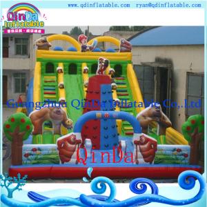 China Theme park kids indoor playground inflatable bouncy castle wholesale