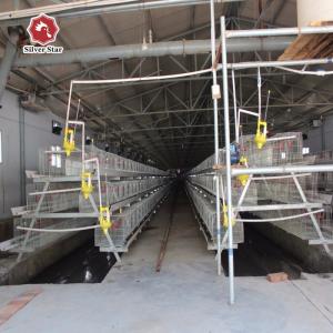 China Q235 Battery Cages Laying Hens Chicken Farming Materials A Type wholesale