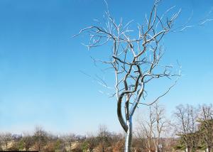 China Stainless Steel Tree Sculpture Withered , Outdoor Metal Tree Sculpture Garden wholesale