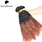 Two Tones Ombre Remy Hair Extensions , Curly Human Hair Weaving For Black Women