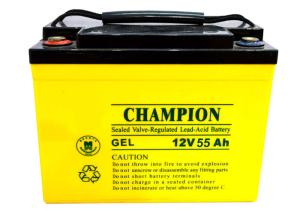 China China Champion Deep Cycle Battery 12V55AH NP55-12-G Sealed Lead Acid Solar GEL Battery wholesale