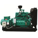 High Durability Biogas Generator Equipment For Power Generation