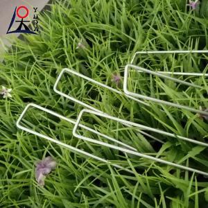 China Landscape Sod Garden Staples Grass Fixing Pins Galvanized Staples wholesale