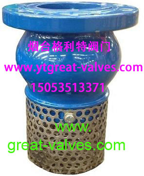 125 /PN16 FOOT VALVE for High Temperature Environments Flange Standard ANSI/BS