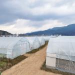 Hot Galvanized Steel Frame Tropical Fruit Grow Greenhouse Commercial Greenhouses