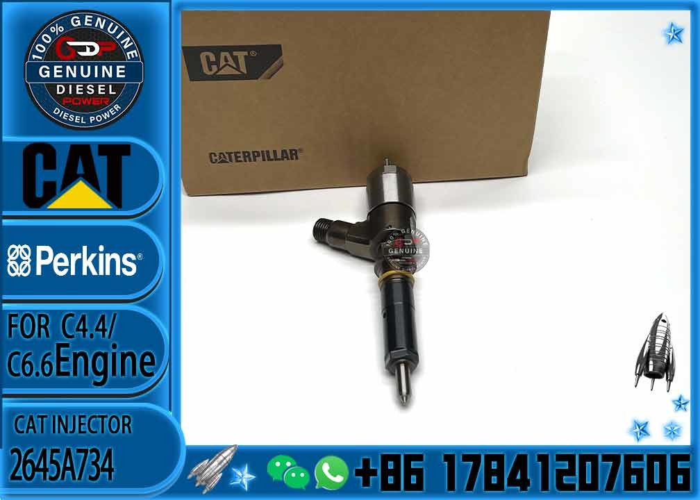 diesel fuel Injector 2645A734 2645A749 2645A747 10R-7671 10R-7672 2645A718 10R-7673