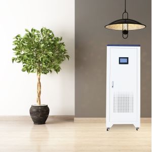 Lithium Ion 4kw Inverter Off Grid Solar With LiFePO4 Battery