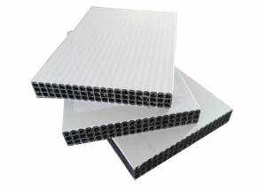 China Concrete 18mm Polypropylene Plastic Pp Hollow Board wholesale