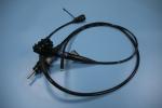EG-590ZW Gastroscope Advanced Medical Endoscope For Veterinary Diagnostics