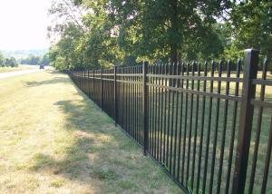 China Garden Permanent Coating Wrought Iron Dog Fence 2.4x2m wholesale