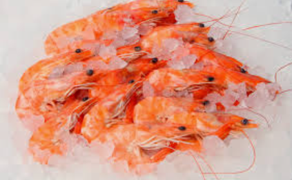 Top-Rated Ice Flake Making Machine for Competitive and Safe Shrimp Fish Processing