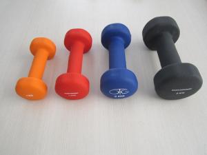 China Fitness Spare part Casting Dumbbell wholesale