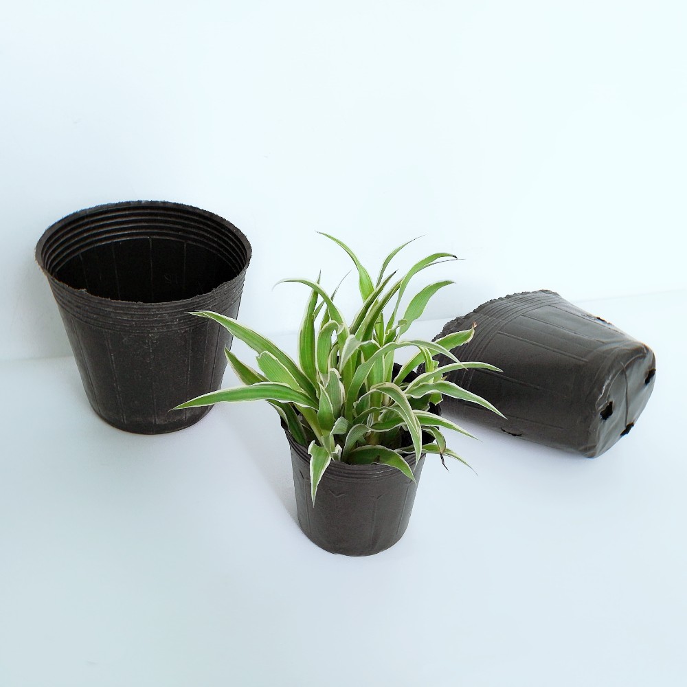 high quality forest seedling tray
