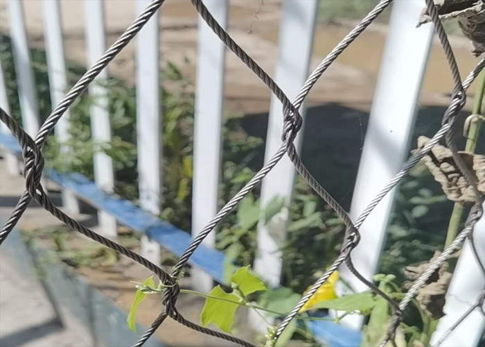 316L Wire Rope Trellis Tomato Growing Plant Stainless Steel Cable Netting