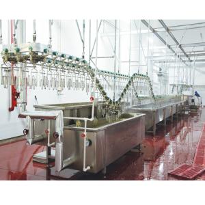China Chicken Duck Automatic Slaughter Equipment For Poultry Slaughterhouse wholesale