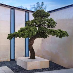 China Customizable Landscape Artificial Green Pine Tree For Bathroom wholesale
