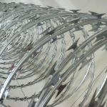 The Fine Quality factory direct Barbed Wire Philippines Concertina Barbed Wire