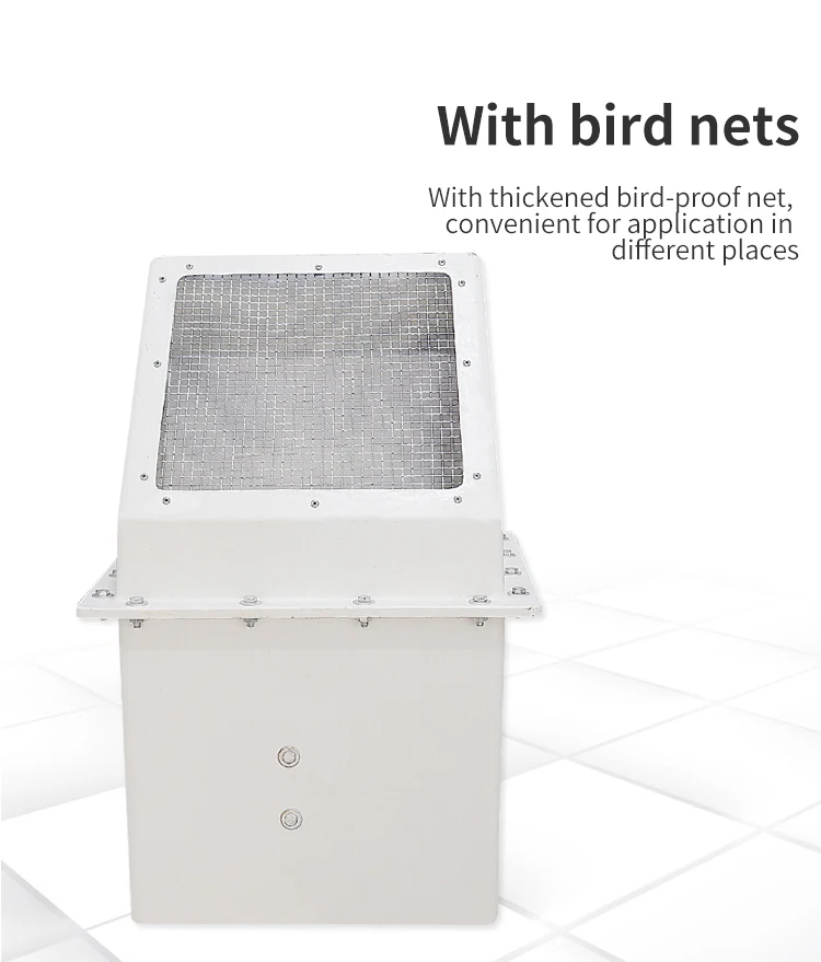 Wall Fan Mounting Axial Flow Ventilation Exhaust Fan with High Powered External Side